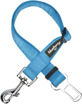 Blueberry Pet Dog Leash - Puppy Essentials & Heavy Duty Dog Leashes for Large Dogs, Safety Tether for Dogs & Cats, Turquoise, 2" W x 27.5" L, Festive & Durable for Pet Parents & Road Trips