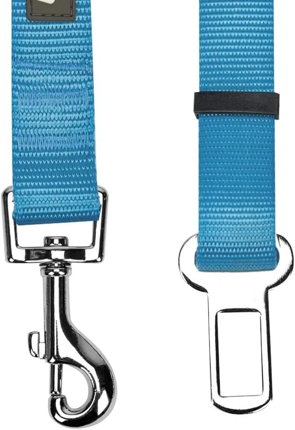 Blueberry Pet Dog Leash - Puppy Essentials & Heavy Duty Dog Leashes for Large Dogs, Safety Tether for Dogs & Cats, Turquoise, 2" W x 27.5" L, Festive & Durable for Pet Parents & Road Trips