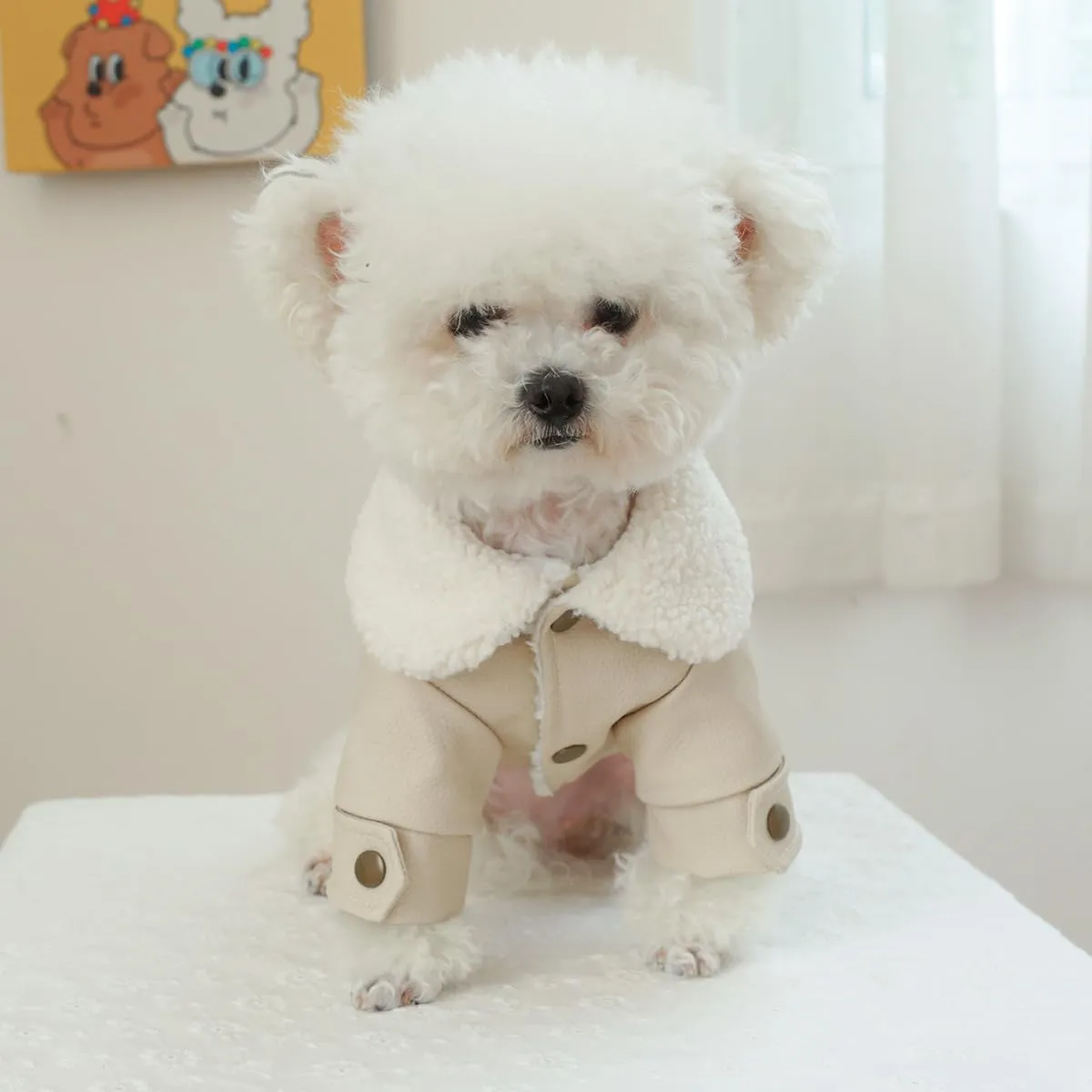 Dog Leather Jacket Fleece Lined Puppy Leather Coat Small Dog Winter Stylish Jacket Cold Weather Chihuahua Yorkie Warm Windproof Waterproof Coats Pet Christmas Holiday Birthday Dog Clothes