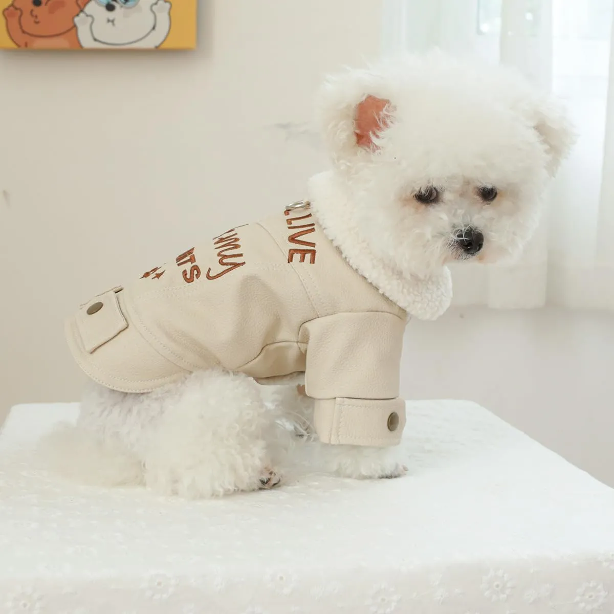 Dog Leather Jacket Fleece Lined Puppy Leather Coat Small Dog Winter Stylish Jacket Cold Weather Chihuahua Yorkie Warm Windproof Waterproof Coats Pet Christmas Holiday Birthday Dog Clothes