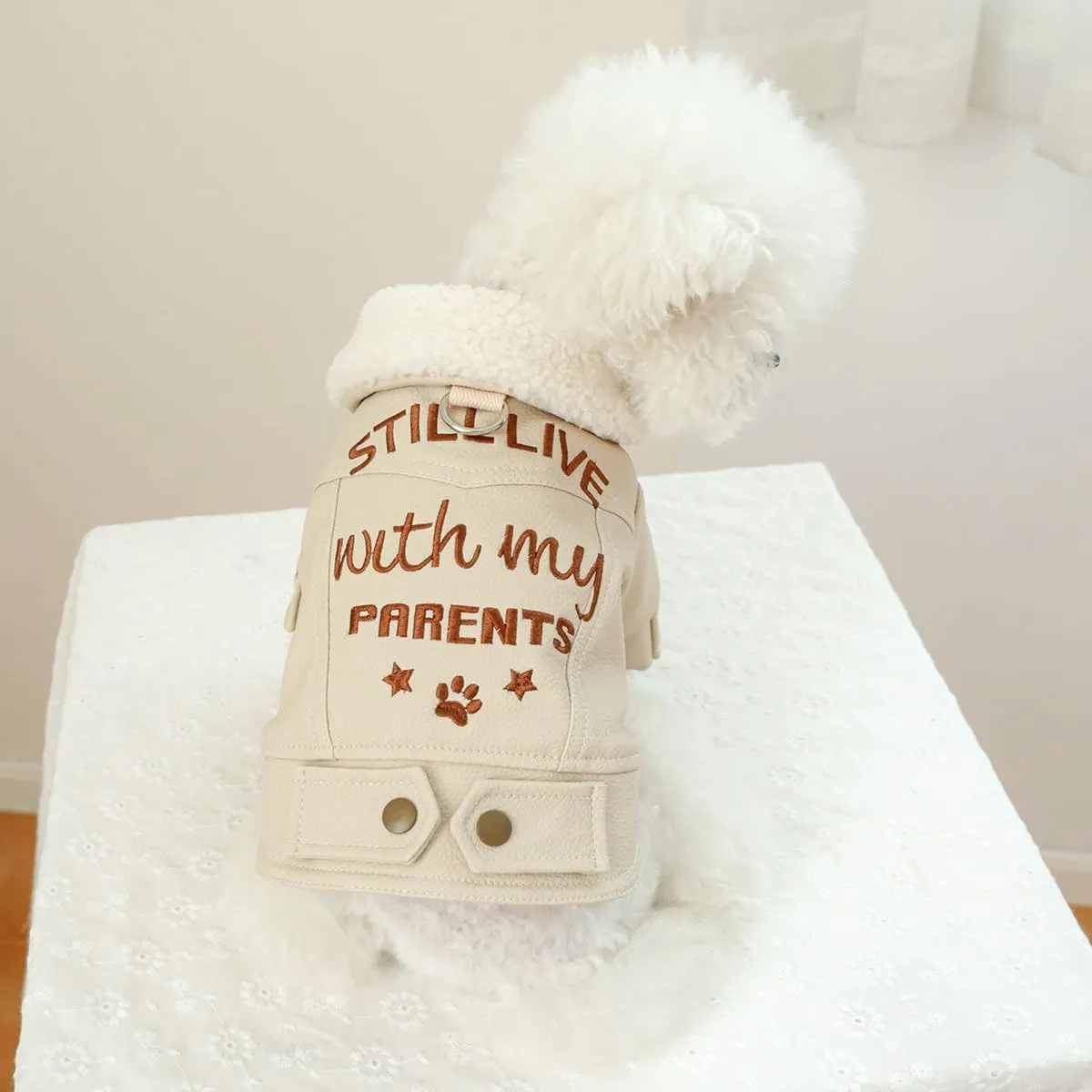 Dog Leather Jacket Fleece Lined Puppy Leather Coat Small Dog Winter Stylish Jacket Cold Weather Chihuahua Yorkie Warm Windproof Waterproof Coats Pet Christmas Holiday Birthday Dog Clothes
