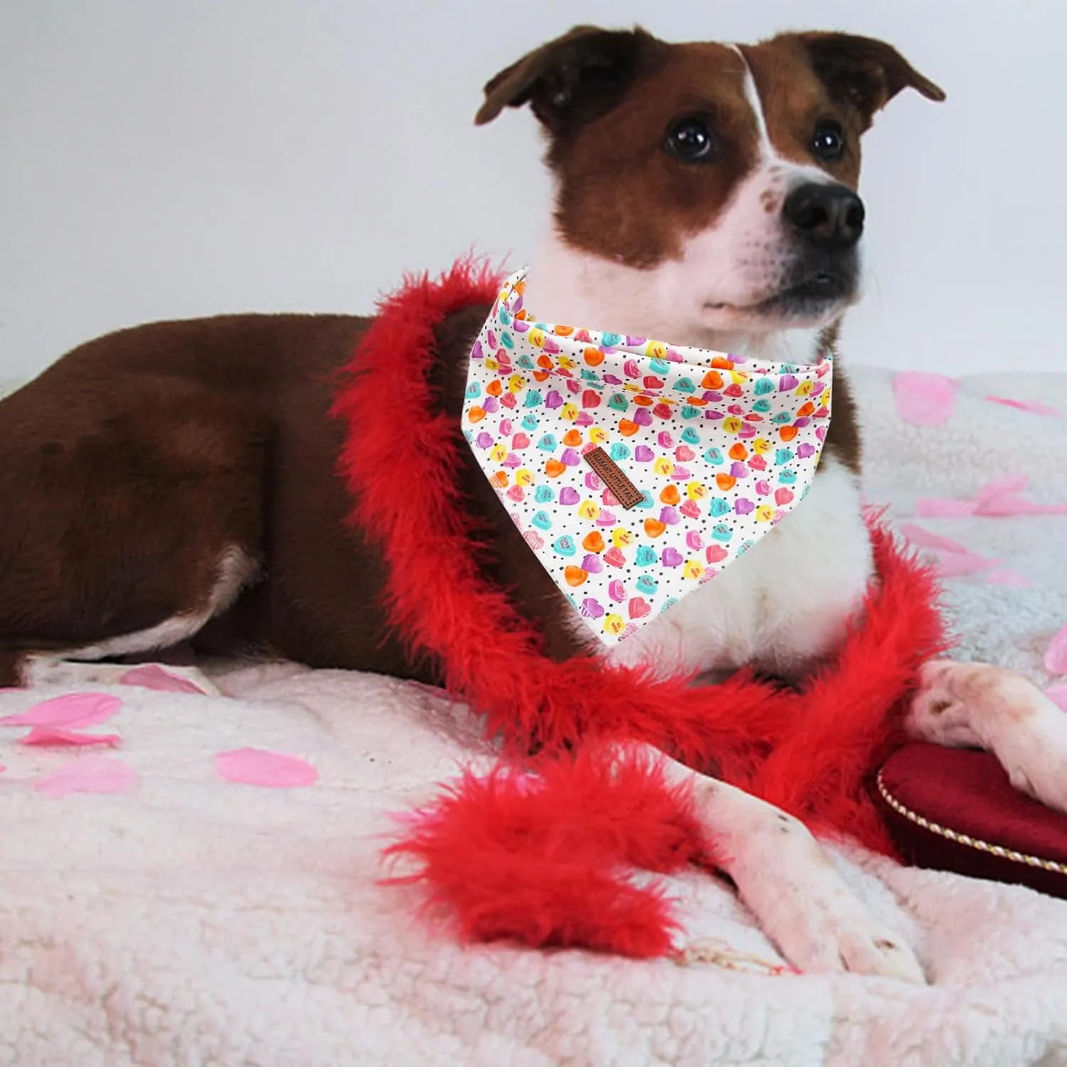 Elegant little tail Dog Bandana, Valentine's 1PC Washable Dog Scarf Female or Male Square Dog Bib Kerchief Scarf Adjustable Pet Bandana for Medium Large Dogs