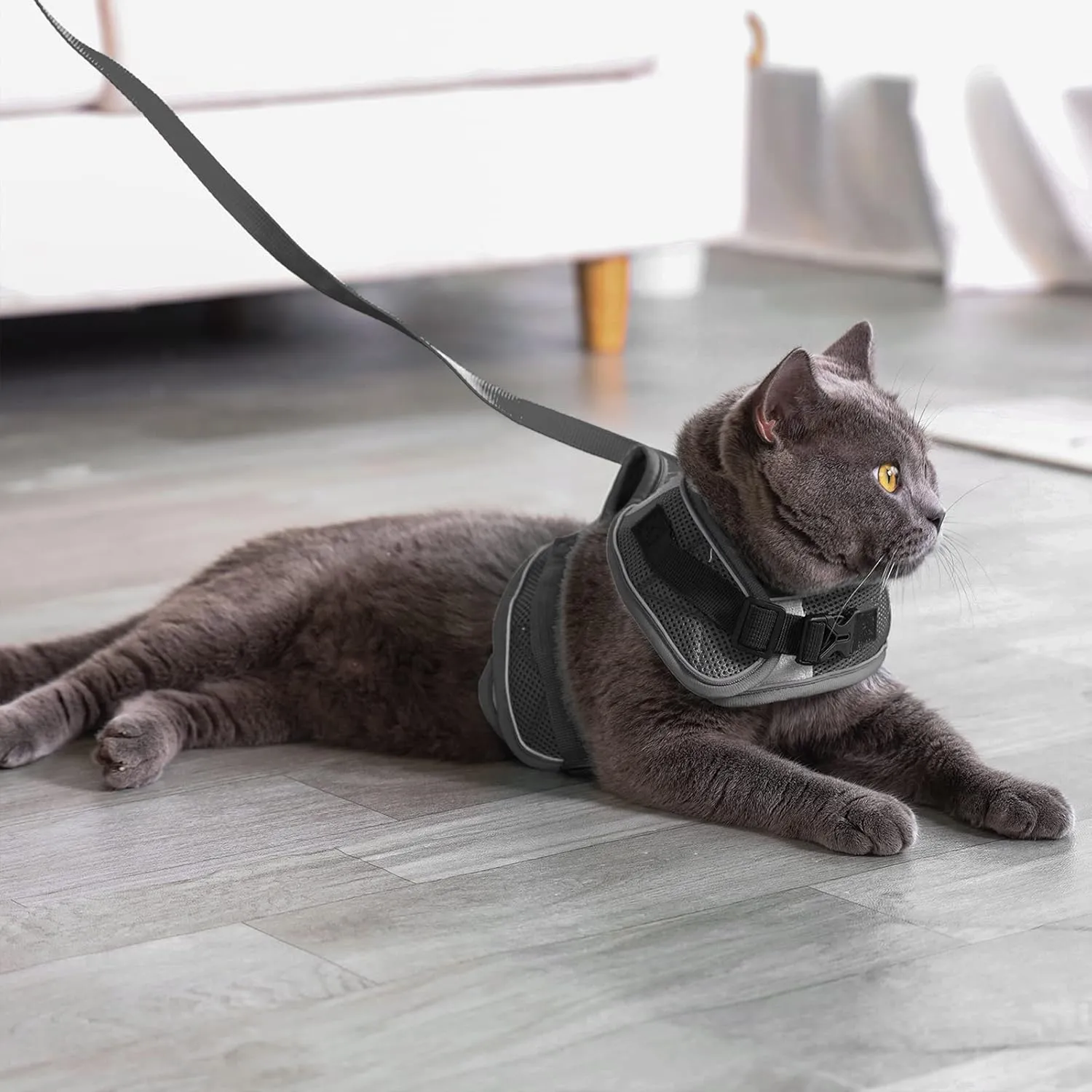 Escape Proof Mesh Cat Harness and Leash Set, Adjustable Walking Jacket Vest for Extra Kittens, Full-Edge Reflective Strips Provide Protection for Cats Walking at Night (XS Grey)