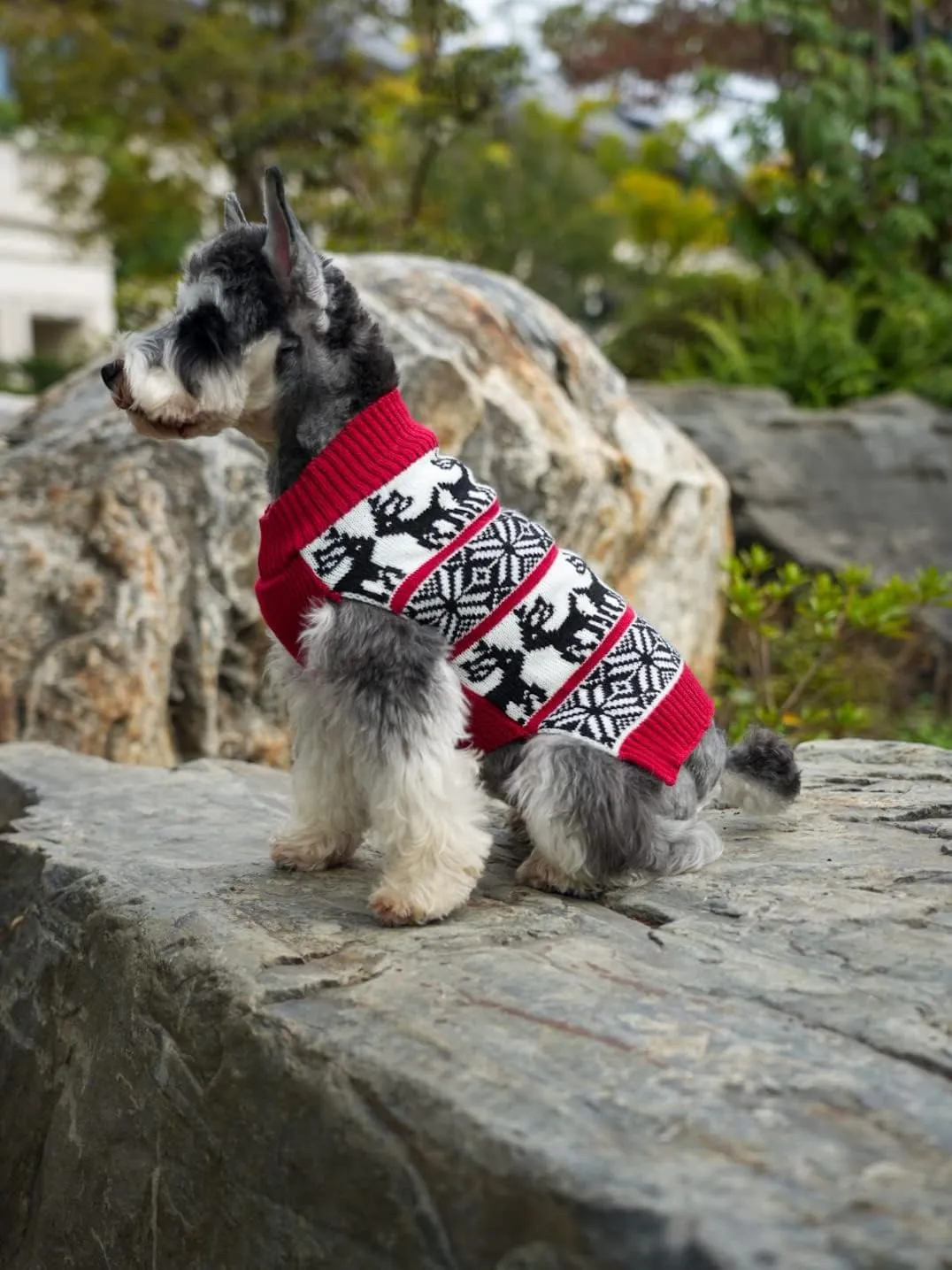 Lanyarco Ugly Christmas Dog Sweaters Vintage Knit Xmas Reindeer Holiday Festive Dog Sweater for Small Dogs, Male Female Girl Small (S) Back 12"