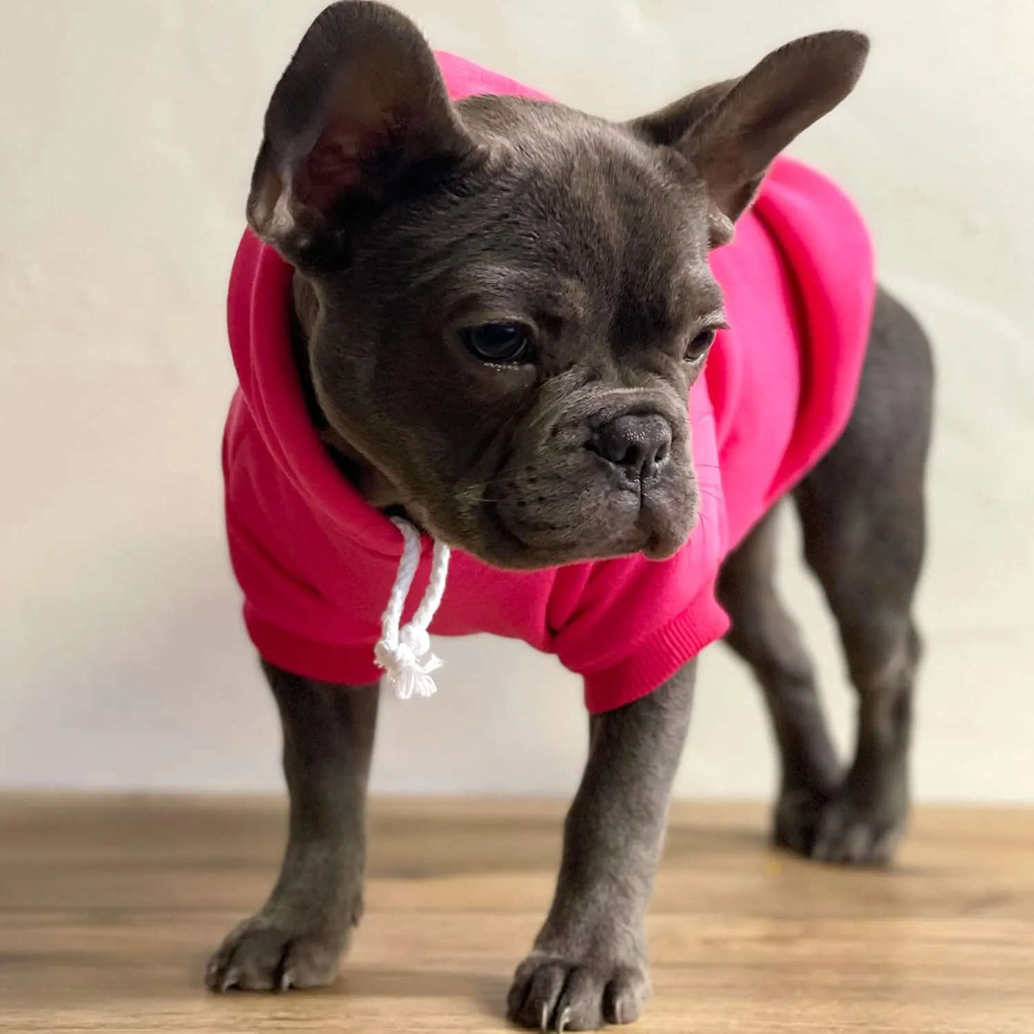 Little Sweetheart Valentine's Day Dog Hoodie Fleece Lined Pullover Sweatshirt with Leash Hole (Black, 6X-Large 1175)