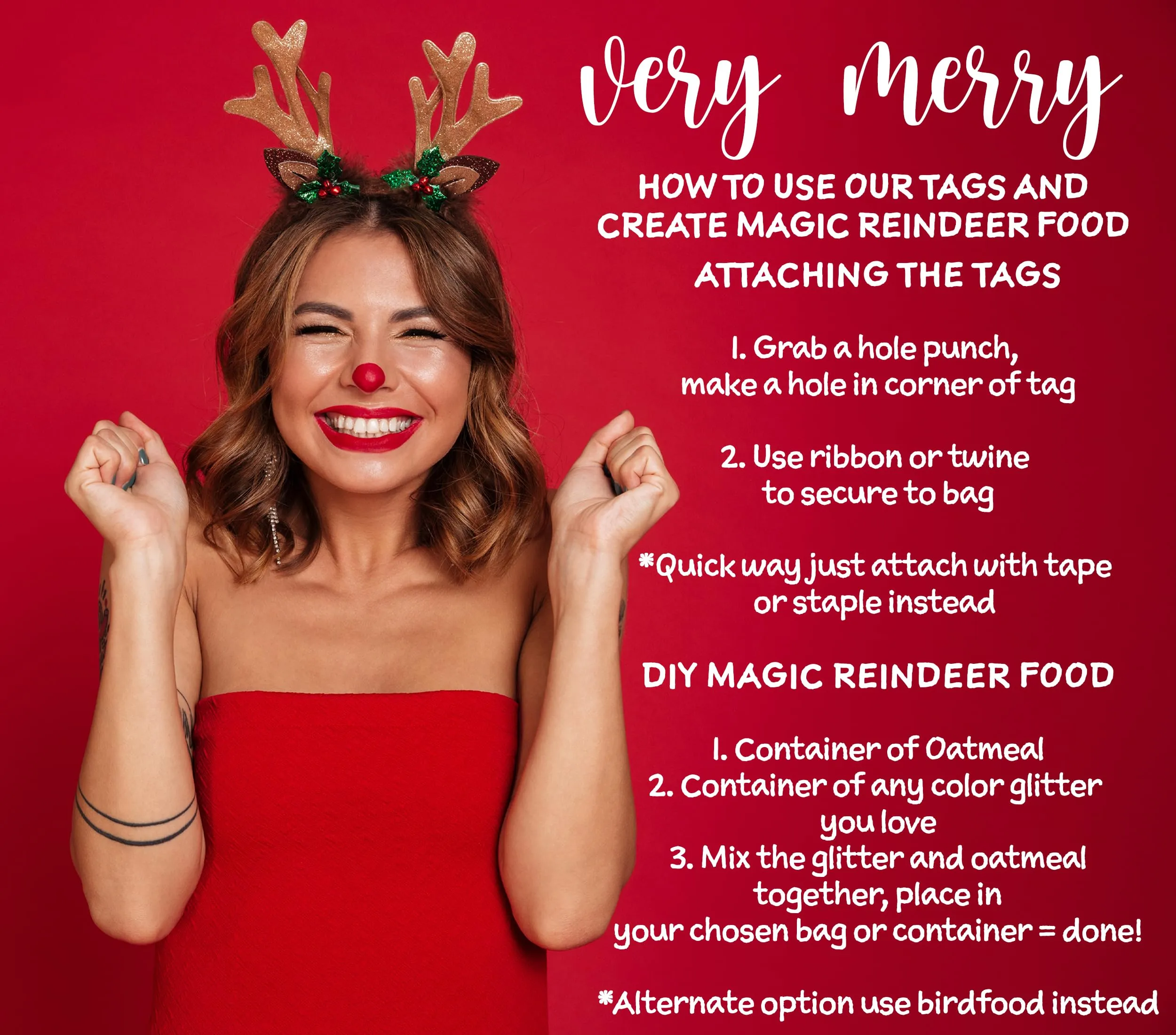 Magic Reindeer Food Gift Tags, Christmas Party Supplies Kids Gift Labels, 15 Pack