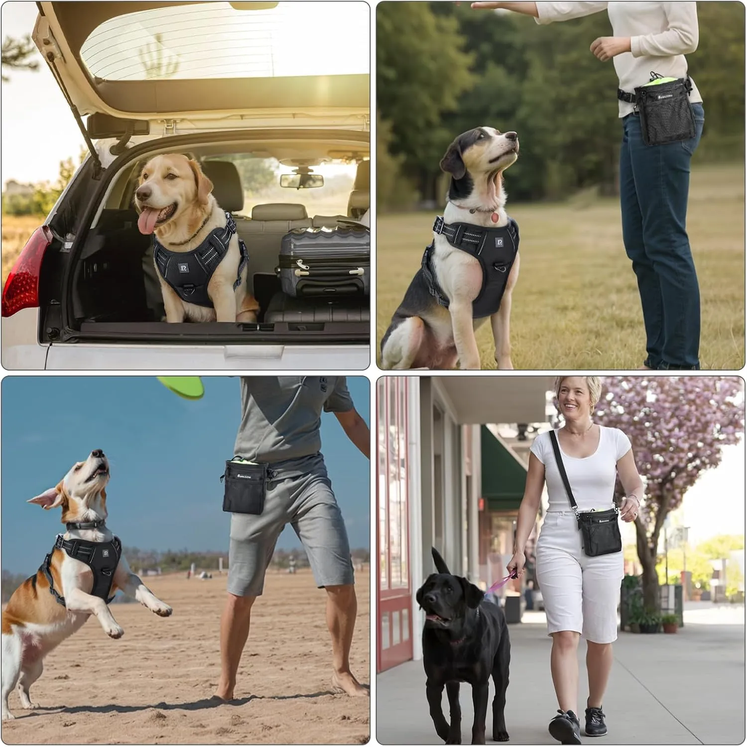 No Pull Dog Harness Release on Neck Reflective Adjustable No Choke Pet Vest with Front & Back 2 Leash Attachments Soft Control Training Handle for Small Medium Large Dogs