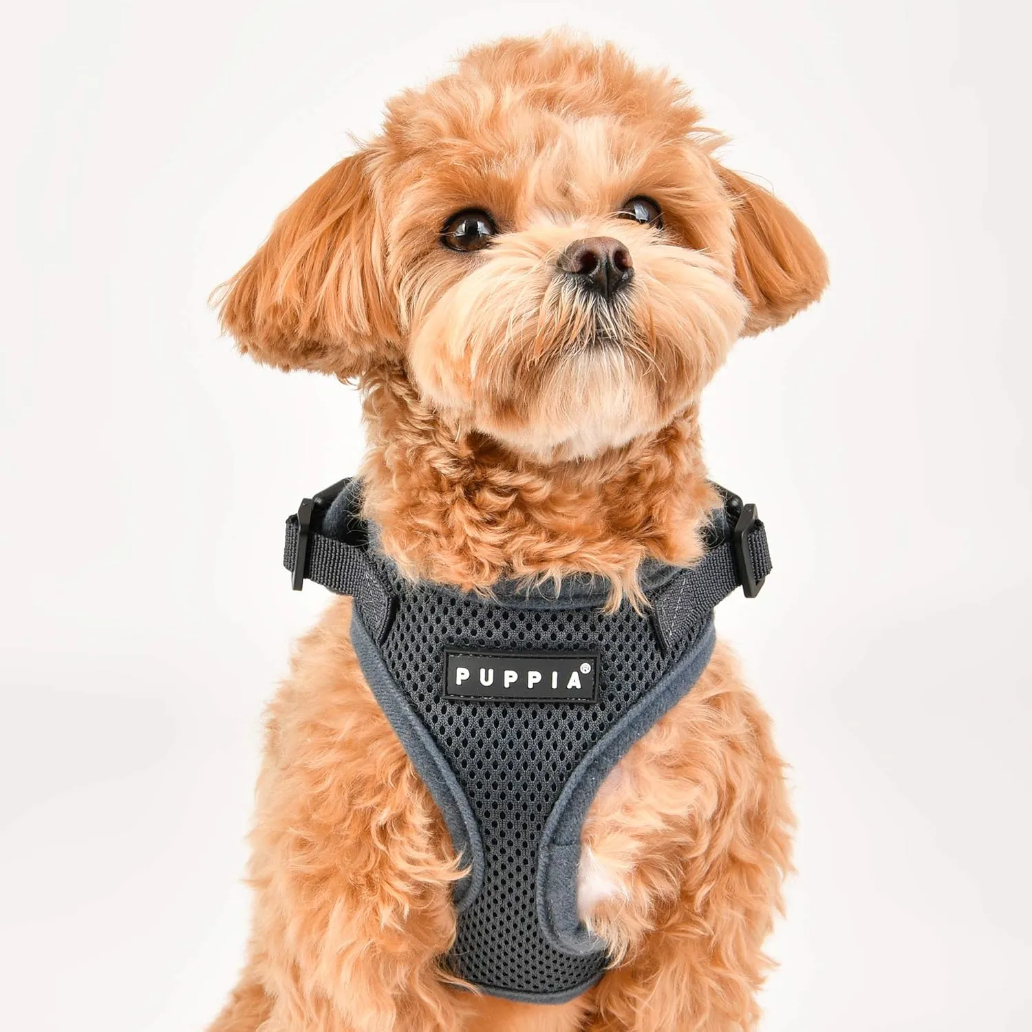Puppia Authentic RiteFit Harness with Adjustable Neck, Small, Beige