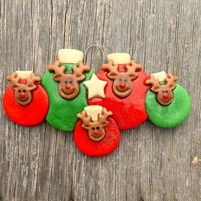 Reindeer Bulbs Family Christmas Ornament