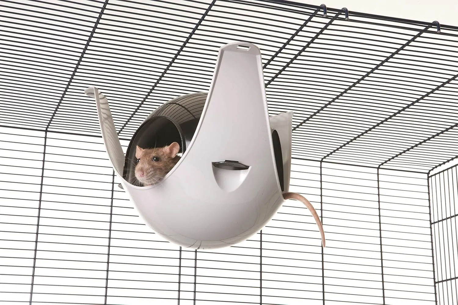 Savic Sputnik Small Animal House for Rats, Hamsters, Mice Birds and Other Pets (XL, Grey/Black)