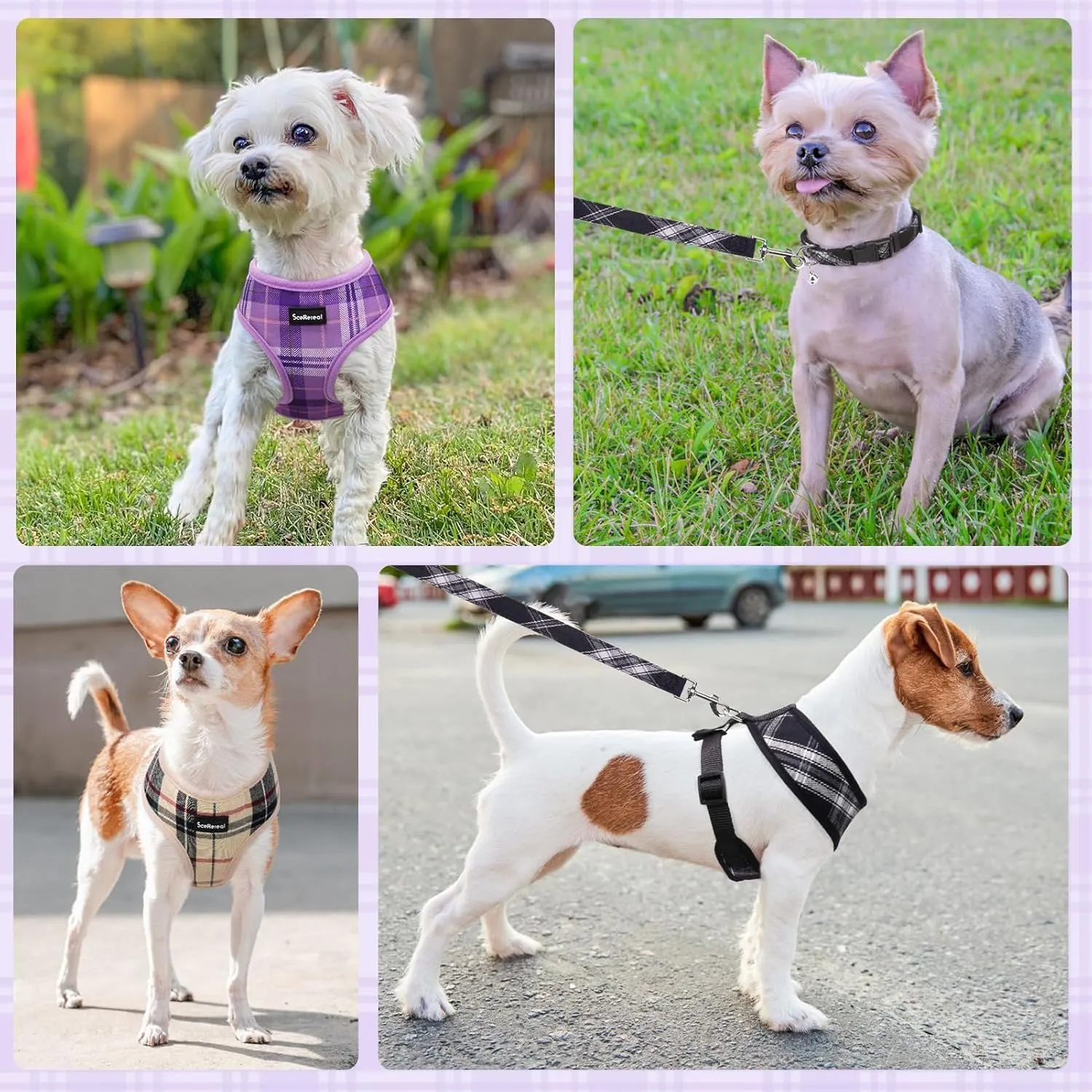 SCENEREAL No Pull Dog Harness Collar and Leash Set Small Medium Sized Dog, Soft Mesh Step in Puppy Harnesses, No Chock Plaid Adjustible Pet Vest for Outdoor Walking Training and Running, Purple M