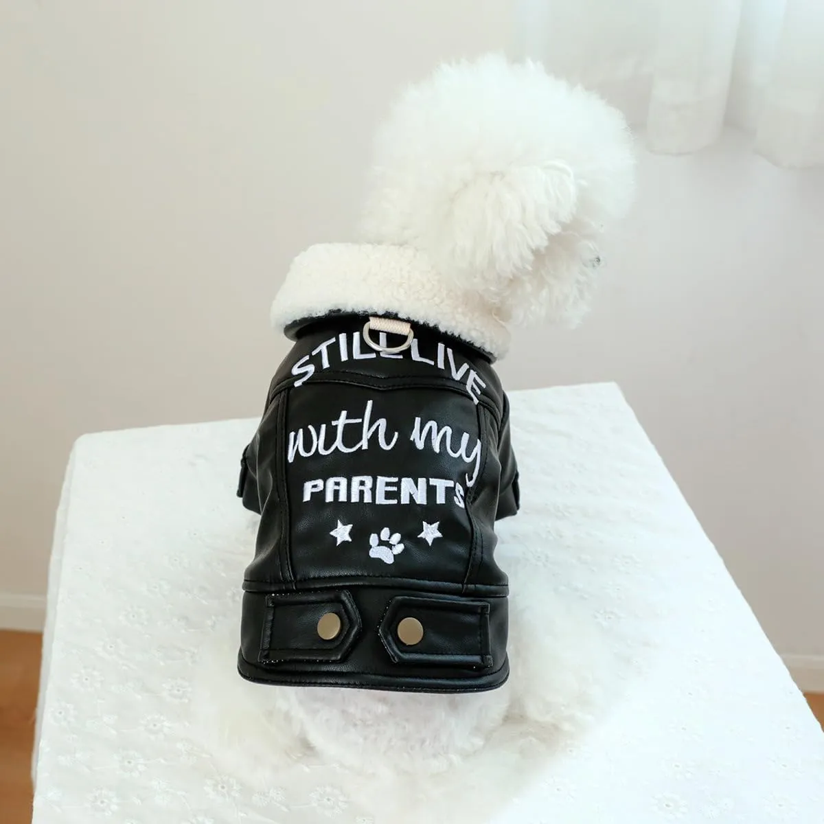 Small Dog Winter Denim Jacket Fleece Lined Puppy Cute Jean Clothes Cold Weather Dog Cozy Warm Coats Chihuahua Yorkie Stylish Clothes Christmas Holiday Birthday Dog Outfits
