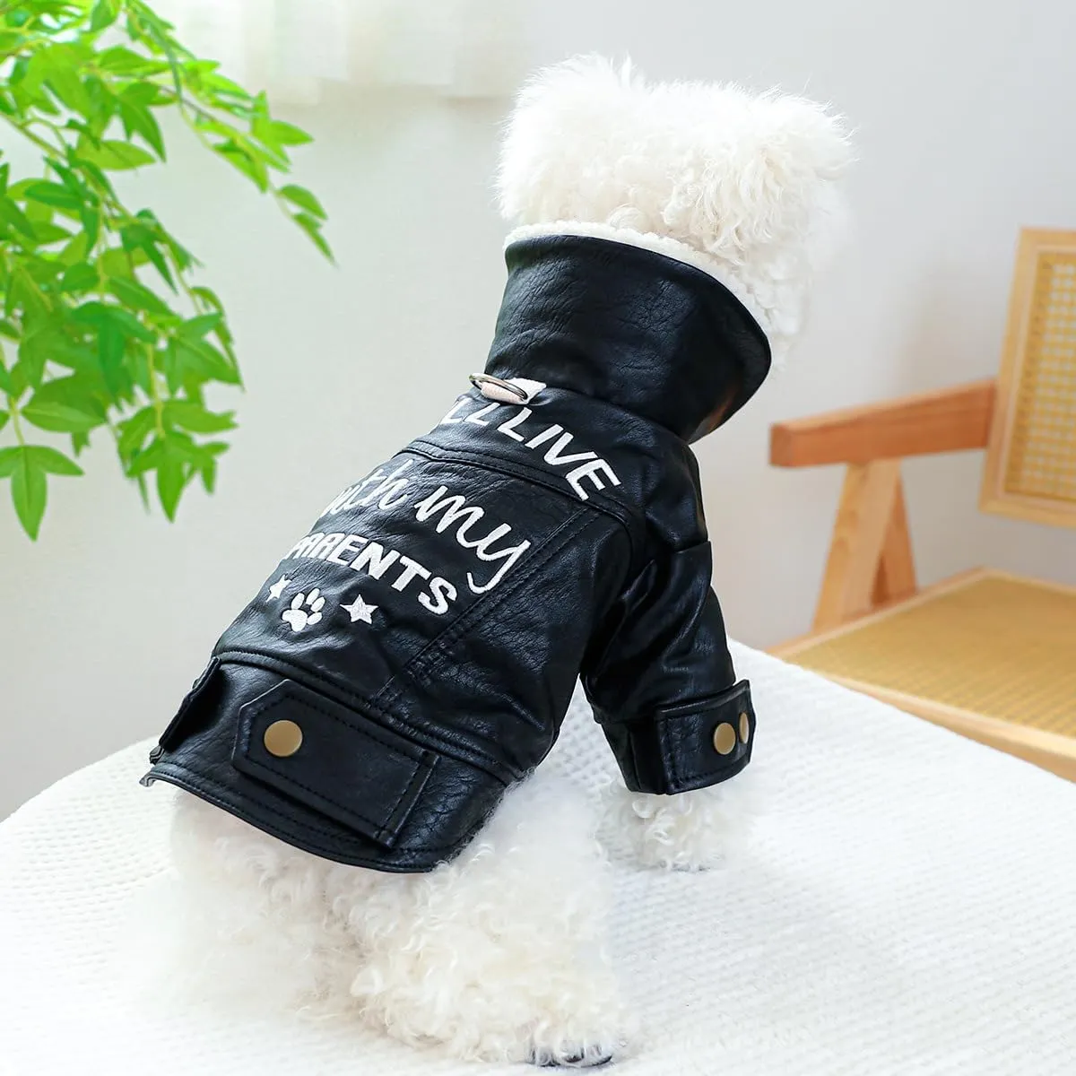 Small Dog Winter Denim Jacket Fleece Lined Puppy Cute Jean Clothes Cold Weather Dog Cozy Warm Coats Chihuahua Yorkie Stylish Clothes Christmas Holiday Birthday Dog Outfits