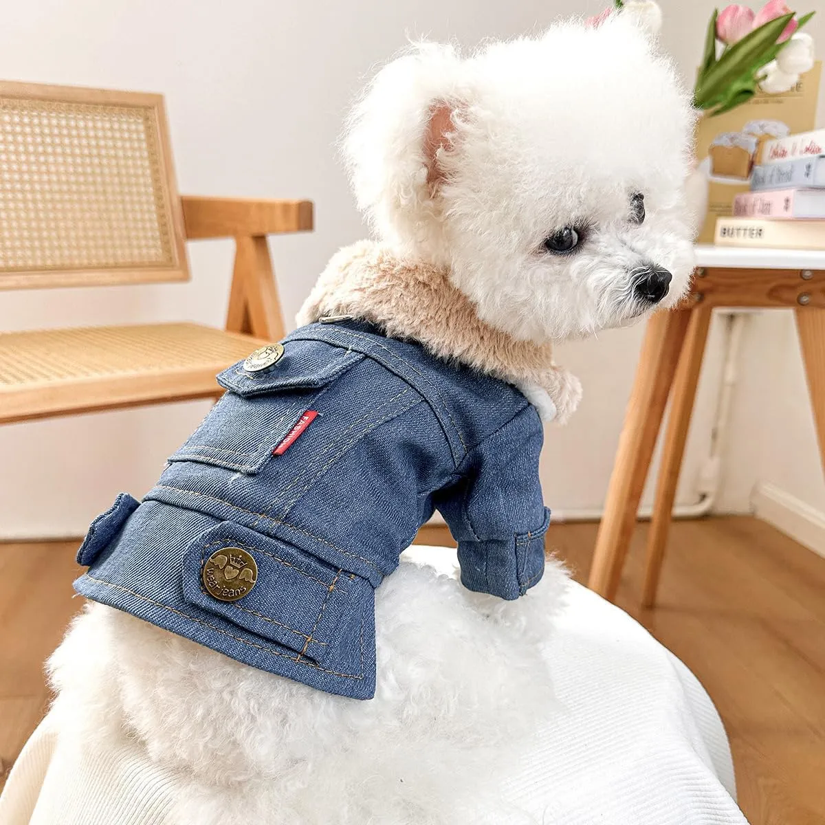 Small Dog Winter Denim Jacket Fleece Lined Puppy Cute Jean Clothes Cold Weather Dog Cozy Warm Coats Chihuahua Yorkie Stylish Clothes Christmas Holiday Birthday Dog Outfits