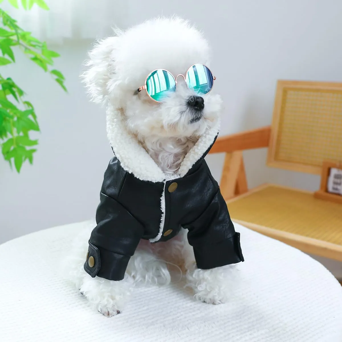 Small Dog Winter Denim Jacket Fleece Lined Puppy Cute Jean Clothes Cold Weather Dog Cozy Warm Coats Chihuahua Yorkie Stylish Clothes Christmas Holiday Birthday Dog Outfits
