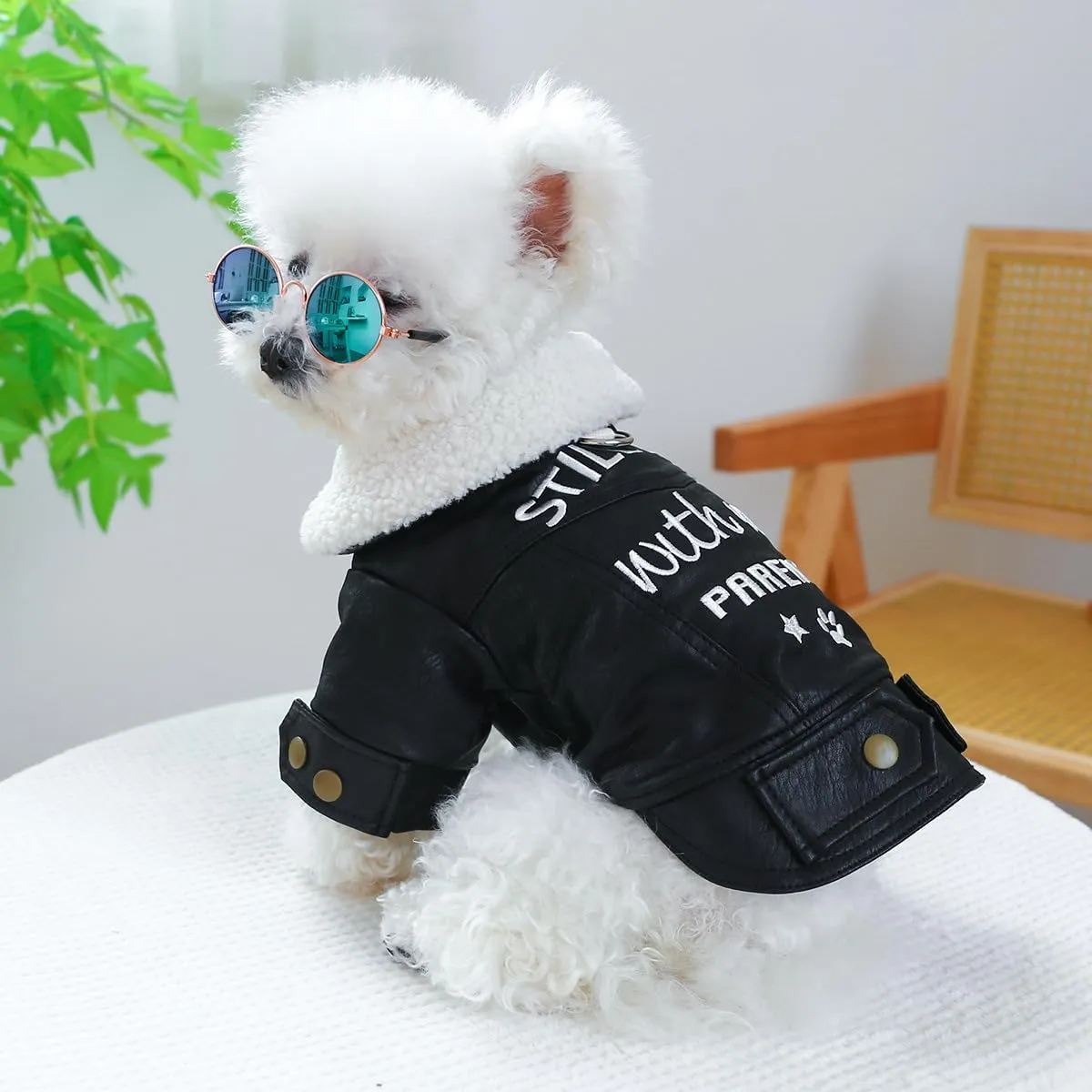 Small Dog Winter Denim Jacket Fleece Lined Puppy Cute Jean Clothes Cold Weather Dog Cozy Warm Coats Chihuahua Yorkie Stylish Clothes Christmas Holiday Birthday Dog Outfits
