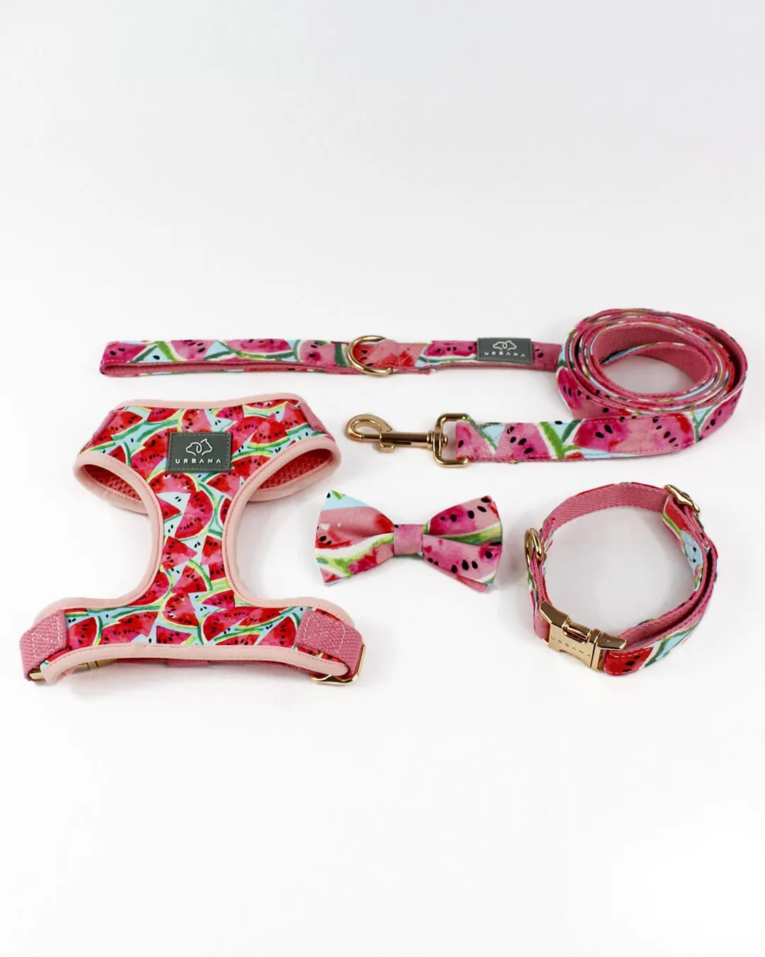 Watermelon Sugar Dog Walk Set